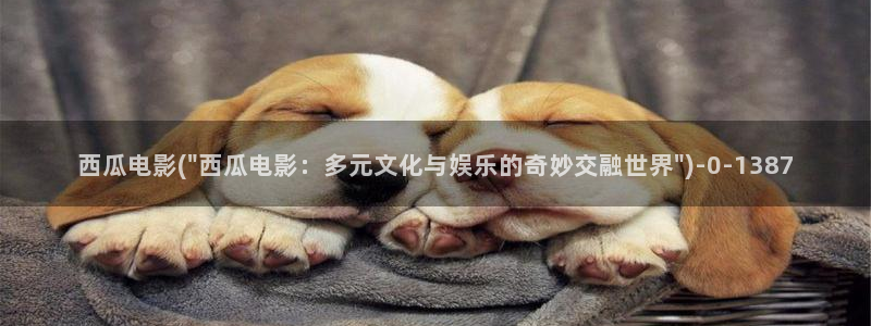 西瓜影院免费电影