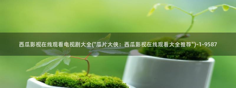 西瓜影院天狼电视剧2024