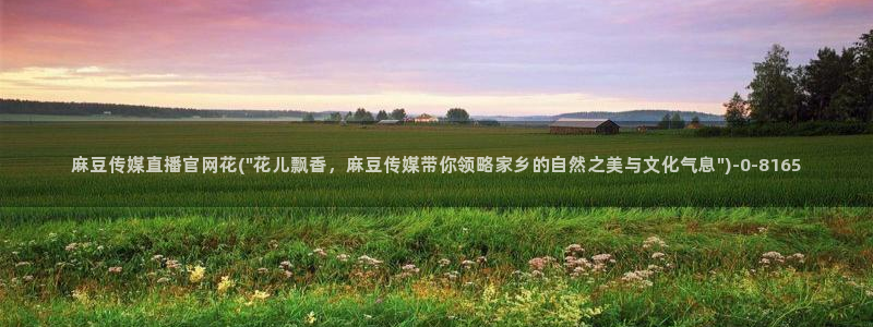 麻豆内容模板