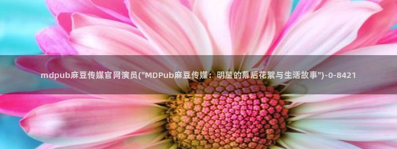 麻豆视频资料维护