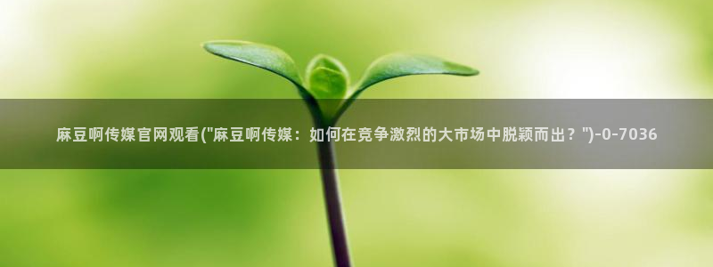 麻豆视频合集文案