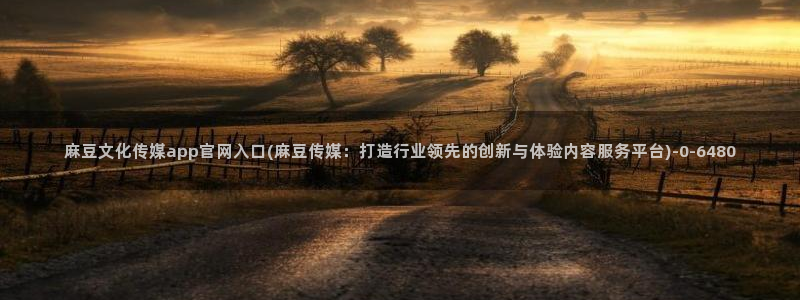 麻豆演员图鉴