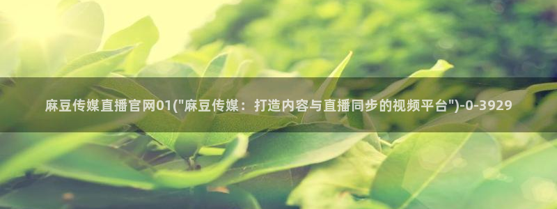 麻豆视频入口