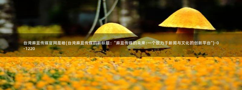 麻豆演员描述