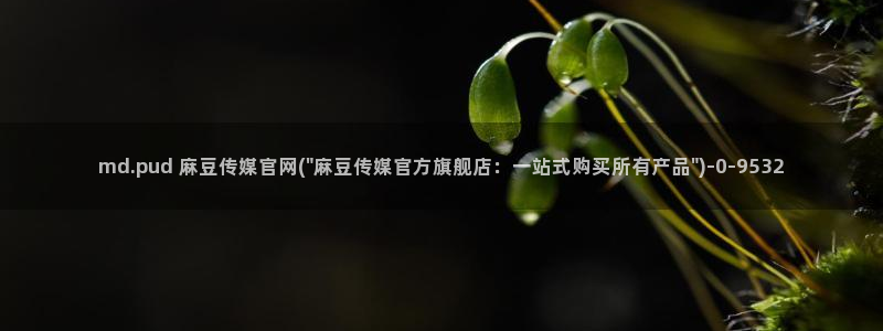 麻豆视频可读内容