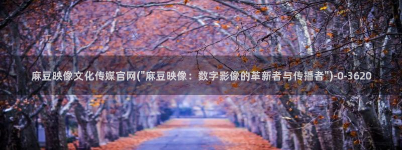 麻豆视频页面关键词