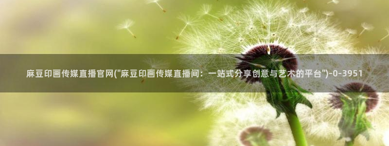 麻豆百度收录