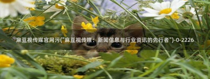 麻豆剧情视频