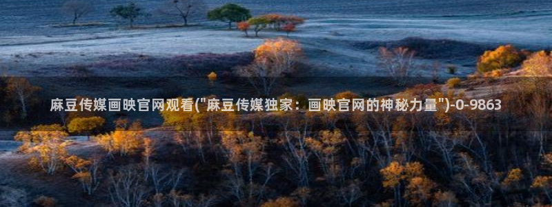 麻豆视频合集整理