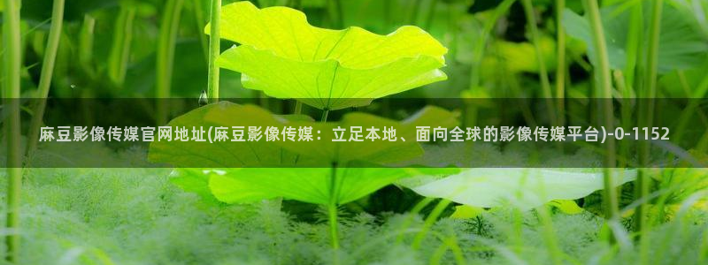 麻豆都市剧情