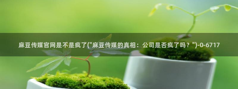 麻豆标题库