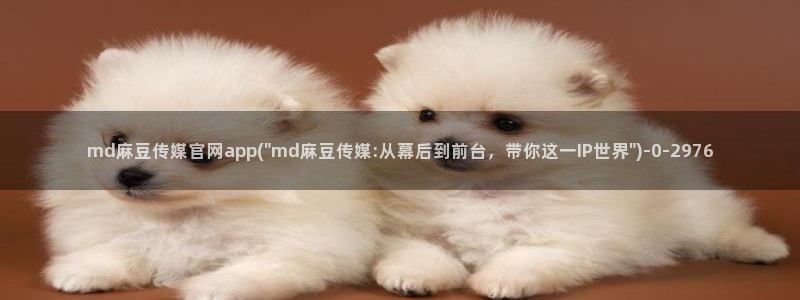 麻豆女演员