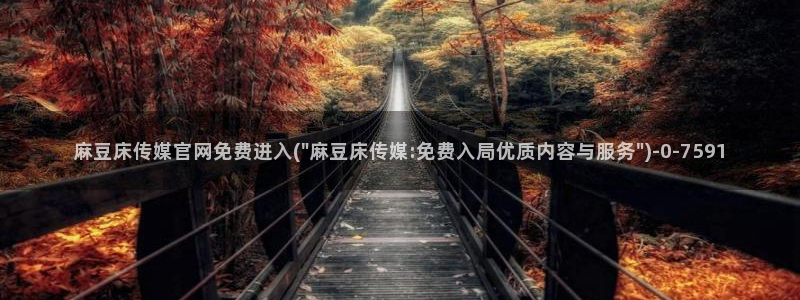 麻豆国产视频