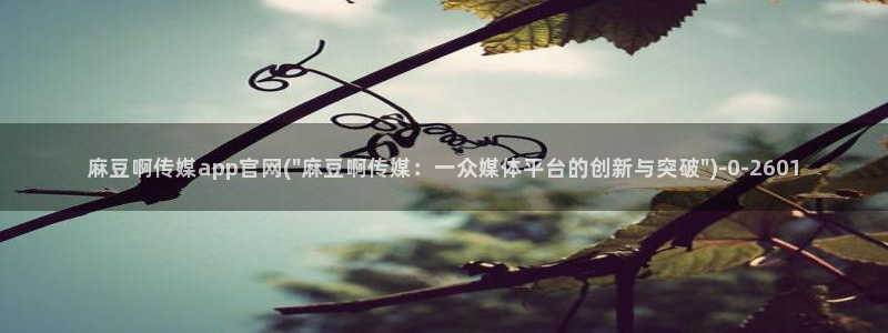 麻豆视频盘点文案