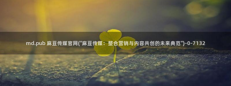 麻豆内容整理