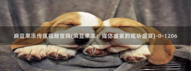 麻豆视频关于我们