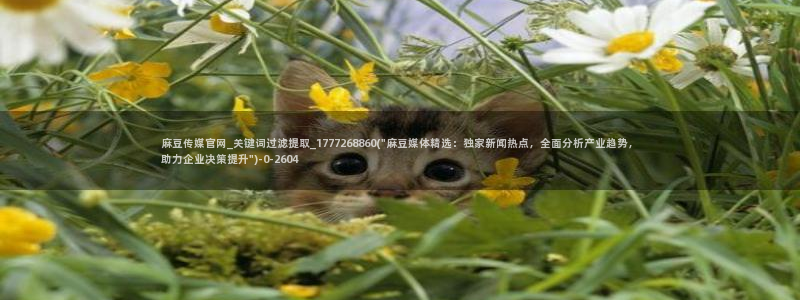 麻豆演员资料