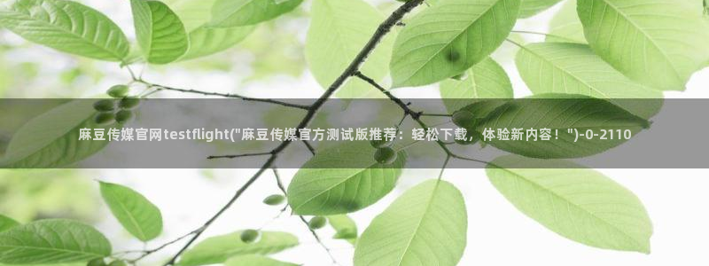 麻豆分类库