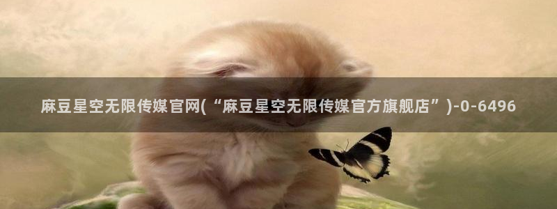 麻豆视频解说文案