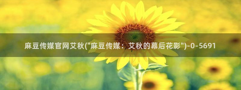 麻豆视频在线观看