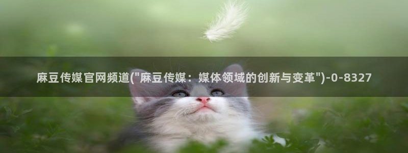 麻豆视频盘点文案