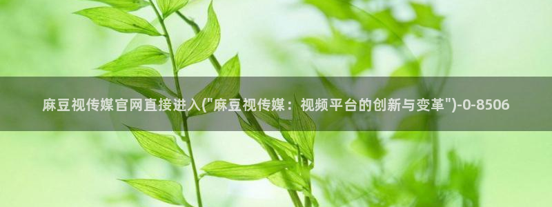 麻豆传媒精选