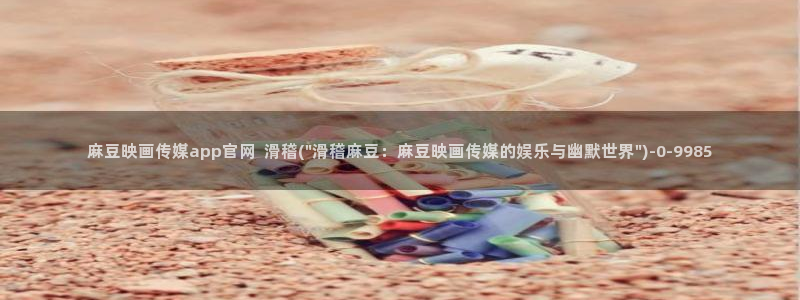 麻豆视频页面标题