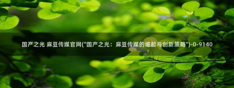 麻豆视频伪原创