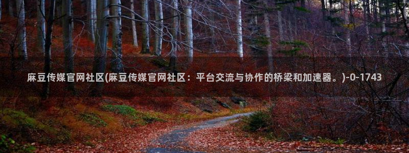 麻豆专题标题