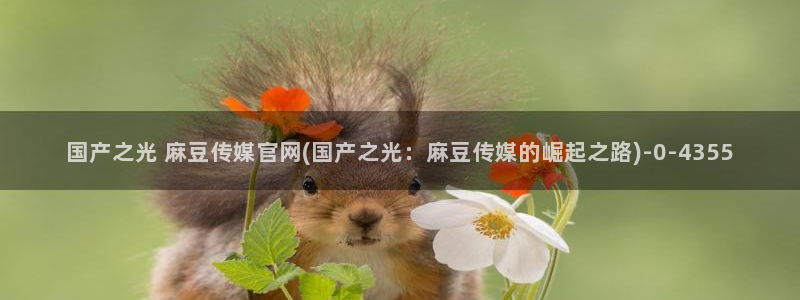 麻豆系列视频