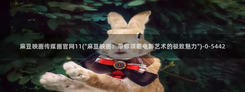 麻豆视频图片规则