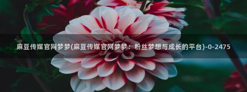 麻豆资源站模板：麻豆传媒官网梦梦(麻豆传媒官网梦梦：粉丝梦想与成长的平台