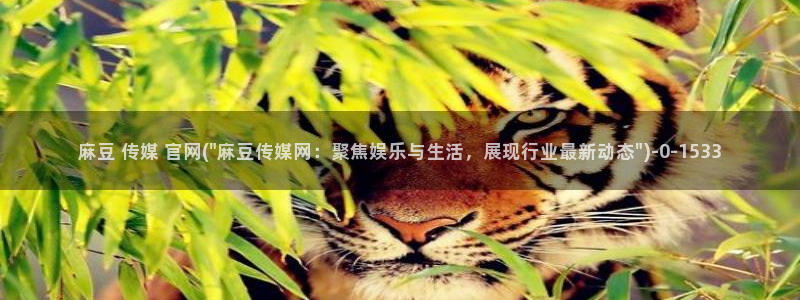 麻豆站内搜索：麻豆 传媒 官网(\